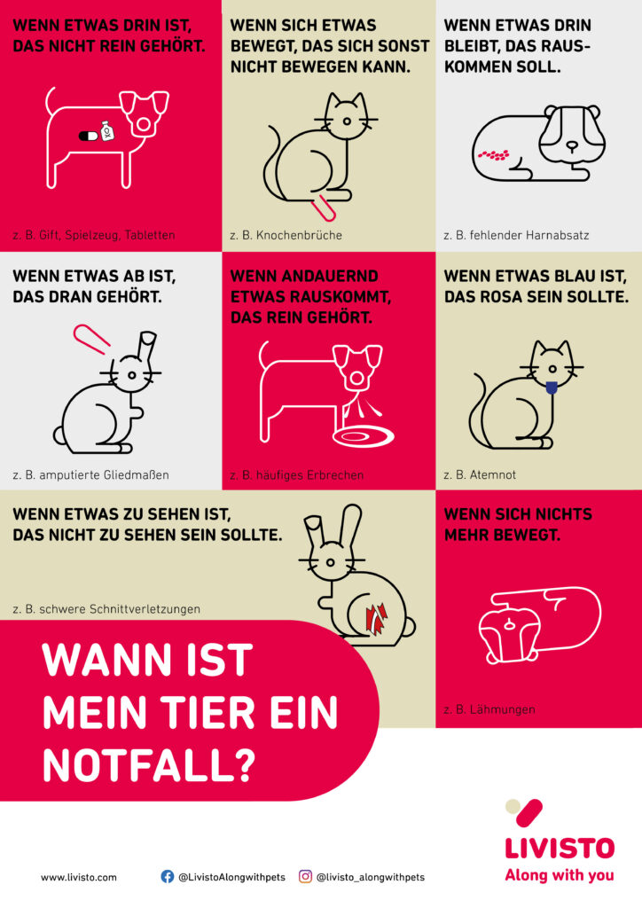 Wann ist mein Tier ein Notfall Poster
