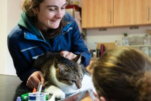 Tierarzthelferin mit Katze auf Behandlungstisch-Tierarztpraxis Wollenberg