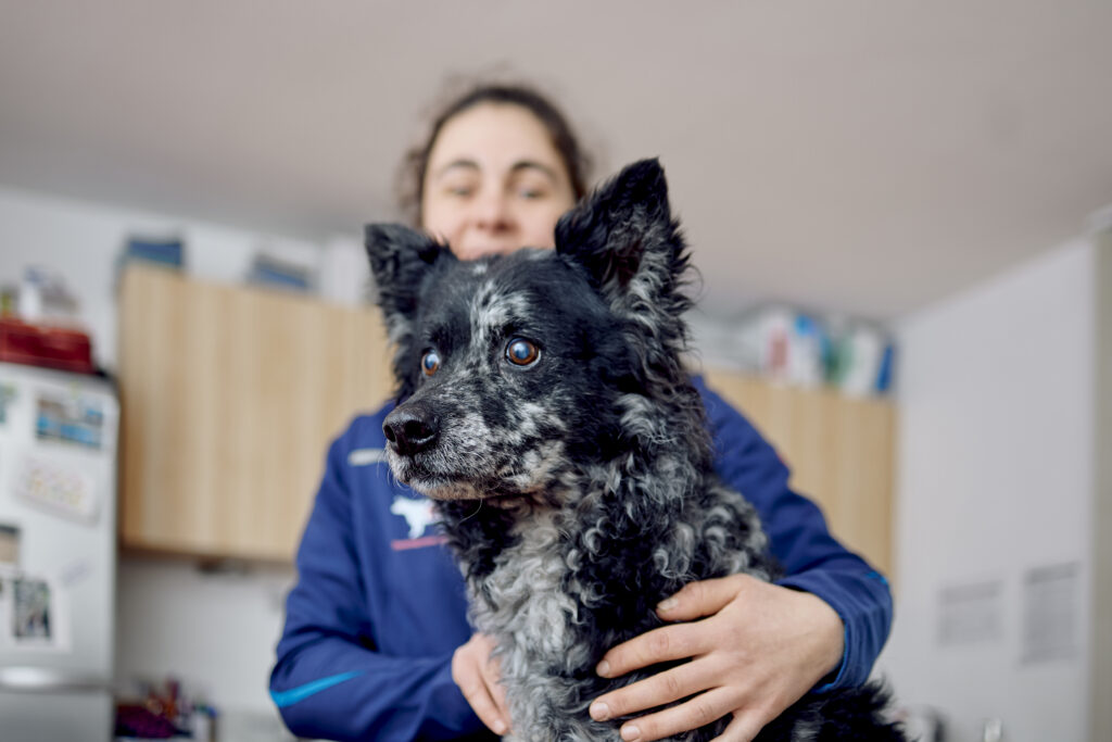 57_Tierärztin hält Hund_Tierarztpraxis Wollenberg (8)