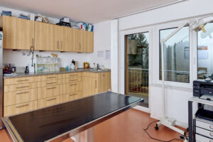 Behandlungszimmer einer Tierarztpraxis
