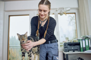 Tierärztin hört Katze auf Behandlungstisch ab